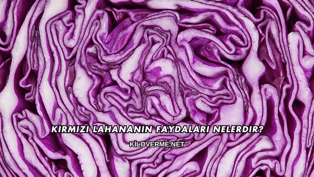 Kırmızı Lahananın Faydaları Nelerdir?