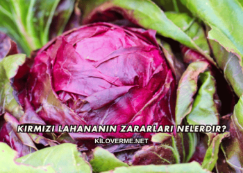 Kırmızı Lahananın Zararları Nelerdir?