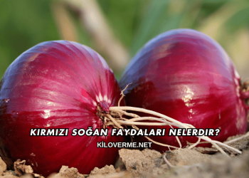Kırmızı Soğan Faydaları Nelerdir?