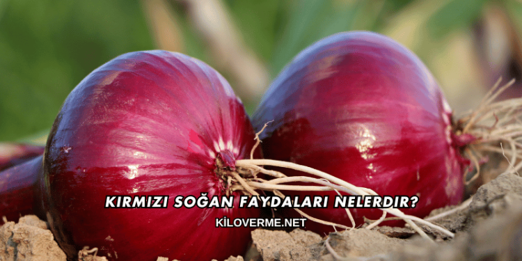 Kırmızı Soğan Faydaları Nelerdir?