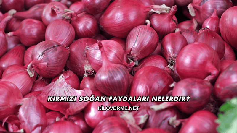 Kırmızı Soğan Faydaları Nelerdir?