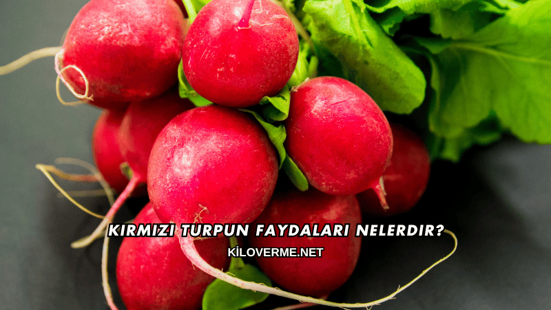 Kırmızı Turpun Faydaları Nelerdir?