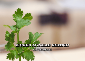 Kişnişin Faydaları Nelerdir?