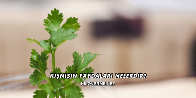 Kişnişin Faydaları Nelerdir?