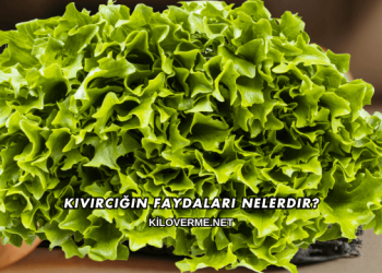 Kıvırcığın Faydaları Nelerdir?