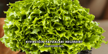 Kıvırcığın Faydaları Nelerdir?