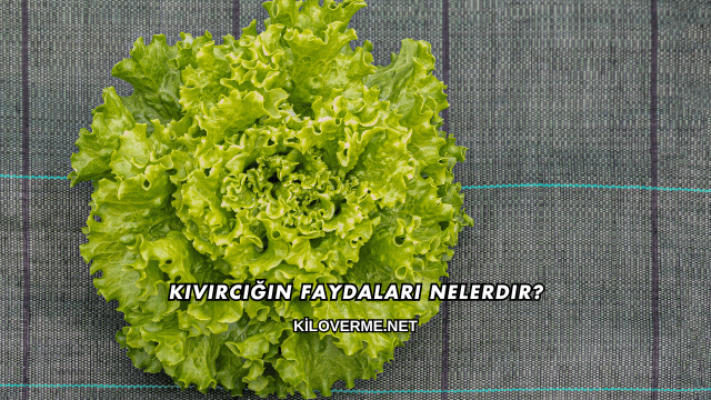 Kıvırcığın Faydaları Nelerdir?