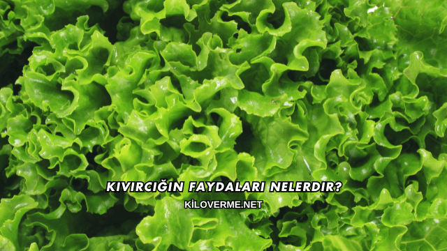 Kıvırcığın Faydaları Nelerdir?