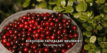 Kızılcığın Faydaları Nelerdir?
