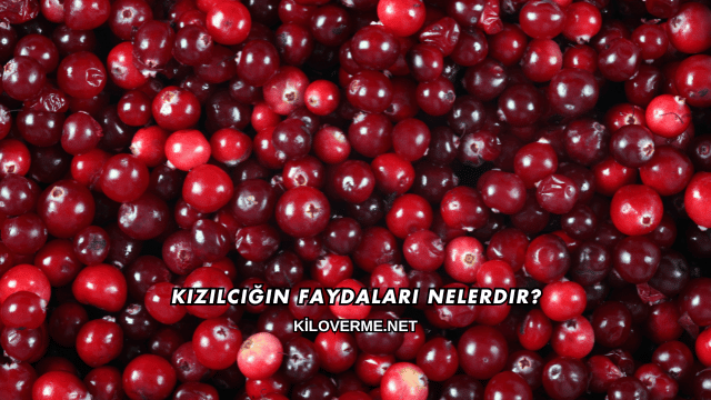 Kızılcığın Faydaları Nelerdir?