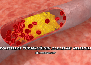 Kolesterol Yüksekliğinin Zararları Nelerdir?
