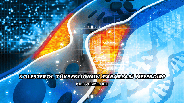 Kolesterol Yüksekliğinin Zararları Nelerdir?