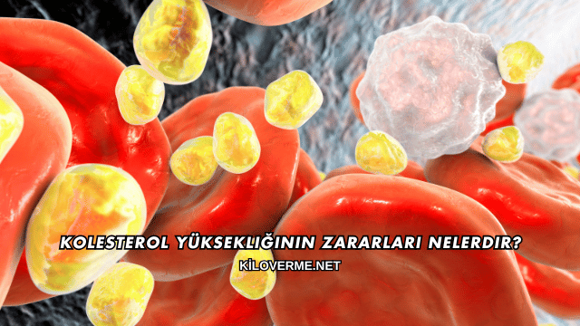 Kolesterol Yüksekliğinin Zararları Nelerdir?