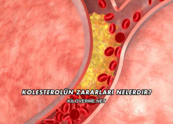 Kolesterolün Zararları Nelerdir?