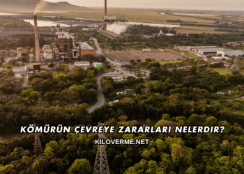 Kömürün Çevreye Zararları Nelerdir?