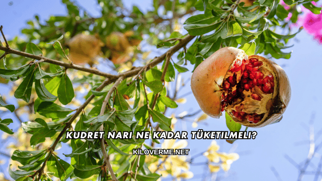 Kudret Narı Ne Kadar Tüketilmeli?