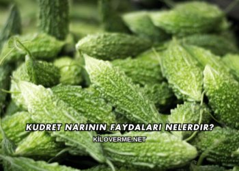 Kudret Narının Faydaları Nelerdir?