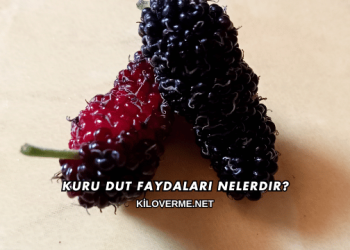 Kuru Dut Faydaları Nelerdir?