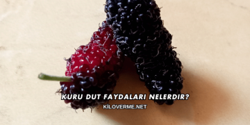 Kuru Dut Faydaları Nelerdir?