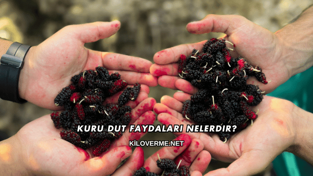 Kuru Dut Faydaları Nelerdir?
