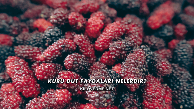 Kuru Dut Faydaları Nelerdir?