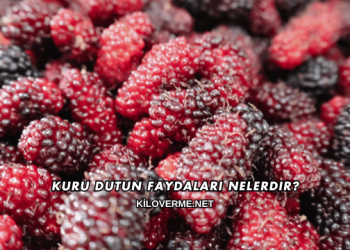 Kuru Dutun Faydaları Nelerdir?