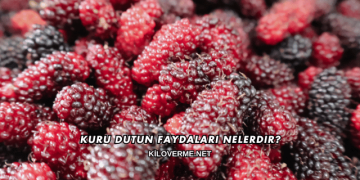 Kuru Dutun Faydaları Nelerdir?