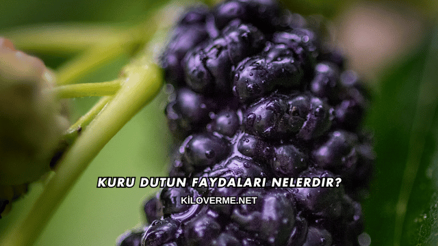 Kuru Dutun Faydaları Nelerdir?