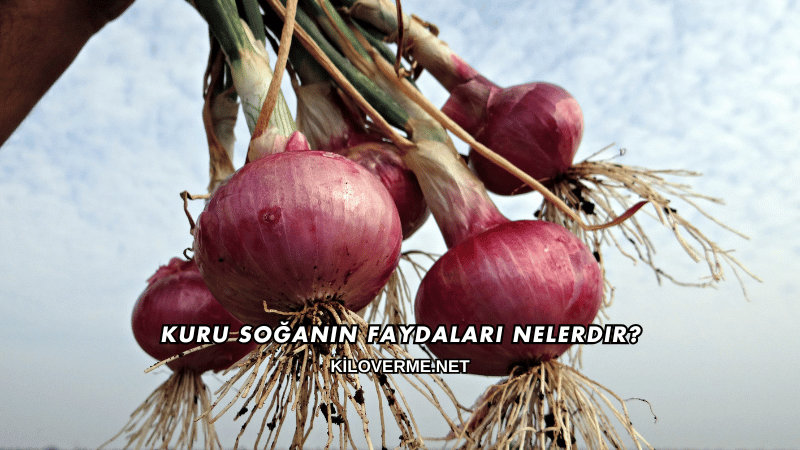 Kuru Soğanın Faydaları Nelerdir?