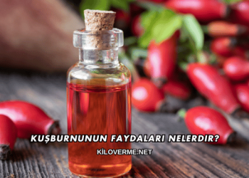 Kuşburnunun Faydaları Nelerdir?