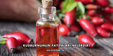 Kuşburnunun Faydaları Nelerdir?