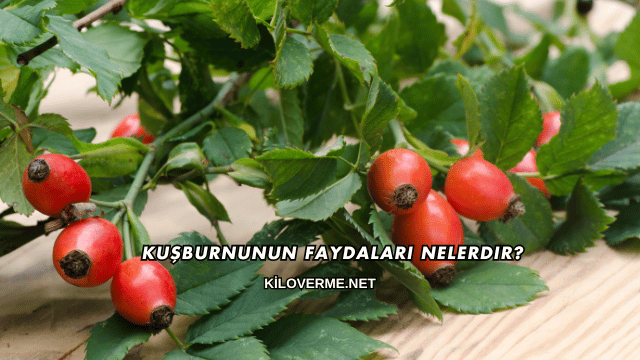 Kuşburnunun Faydaları Nelerdir?