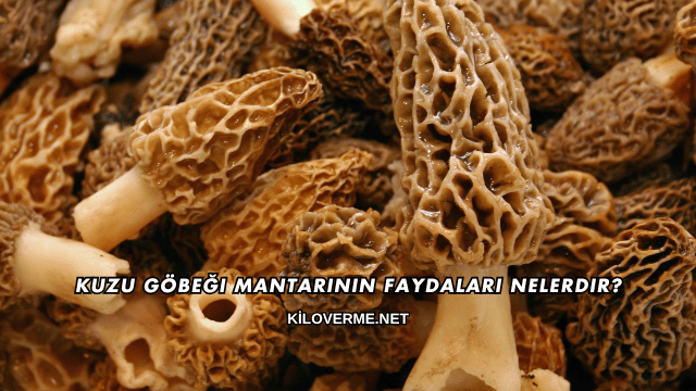 Kuzu Göbeği Mantarının Faydaları Nelerdir?