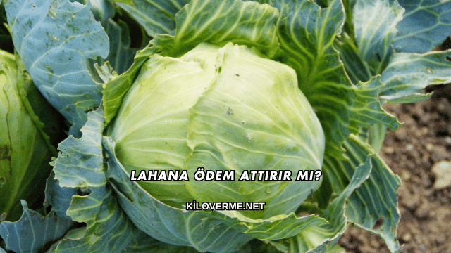 Lahana Ödem Attırır mı?
