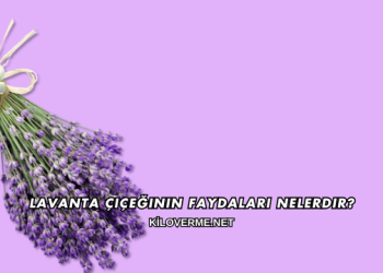 Lavanta Çiçeğinin Faydaları Nelerdir?