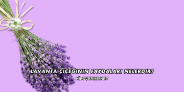 Lavanta Çiçeğinin Faydaları Nelerdir?