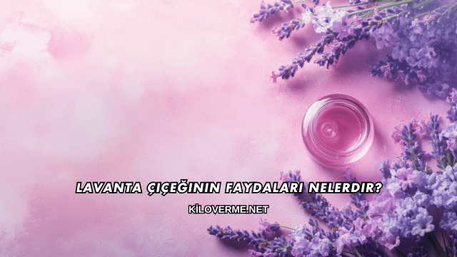 Lavanta Çiçeğinin Faydaları Nelerdir?