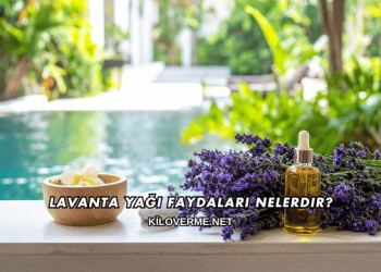 Lavanta Yağı Faydaları Nelerdir?