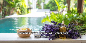 Lavanta Yağı Faydaları Nelerdir?