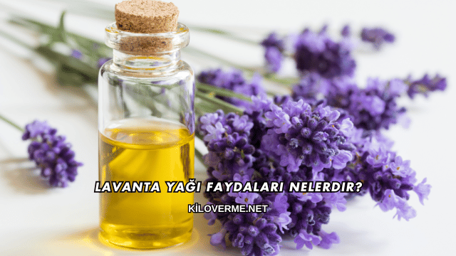 Lavanta Yağı Faydaları Nelerdir?