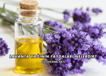 Lavanta Yağının Faydaları Nelerdir?