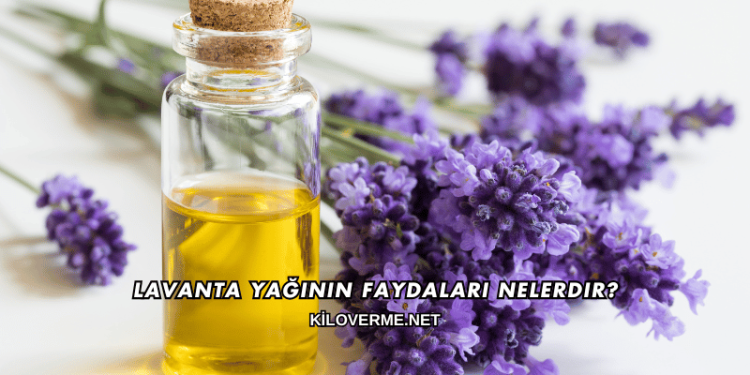 Lavanta Yağının Faydaları Nelerdir?