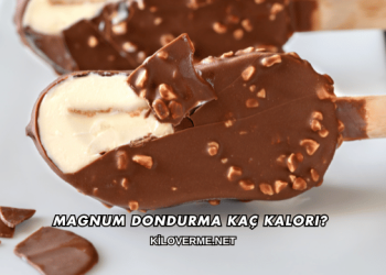 Magnum Dondurma Kaç Kalori?