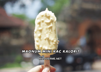 Magnum Mini Kaç Kalori?
