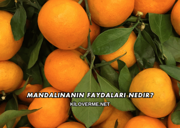 Mandalinanın Faydaları Nedir?