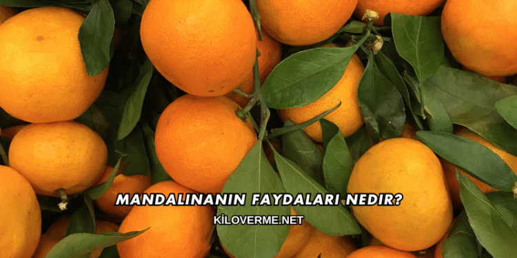 Mandalinanın Faydaları Nedir?
