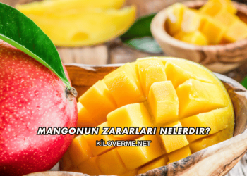 Mangonun Zararları Nelerdir?
