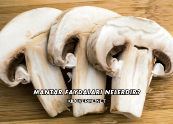 Mantar Faydaları Nelerdir?