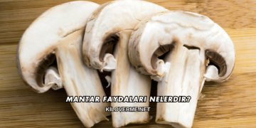 Mantar Faydaları Nelerdir?