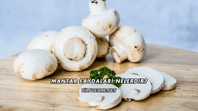 Mantar Faydaları Nelerdir?